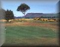 Golspie Golf Club - Highland Golf Courses