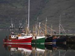 Fishing Boats Ullapool