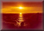 Summer Queen Sunset Cruise